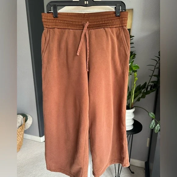 Vince Terracotta wide leg cropped pants, size large - Picture 3 of 12